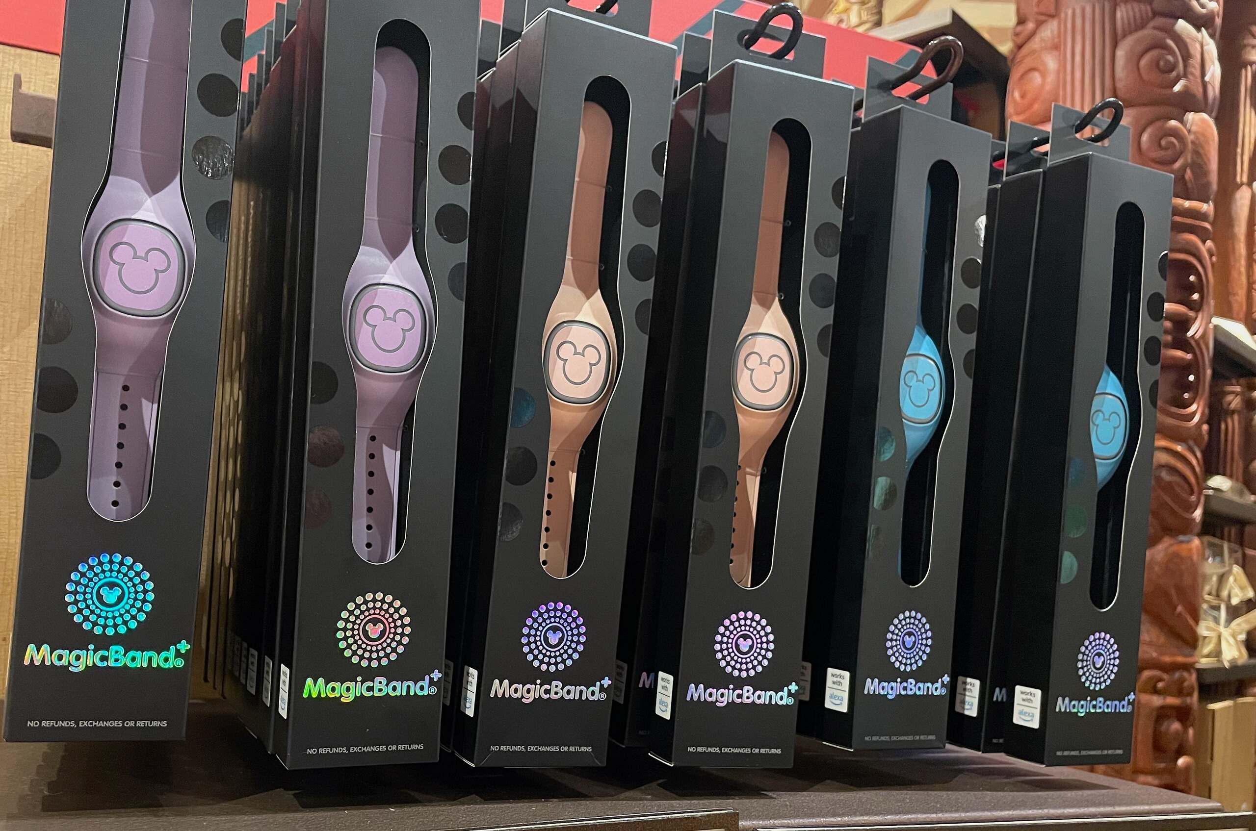 NEW! MAGICBAND & MAGICBAND+ Works at both DLR & WDW